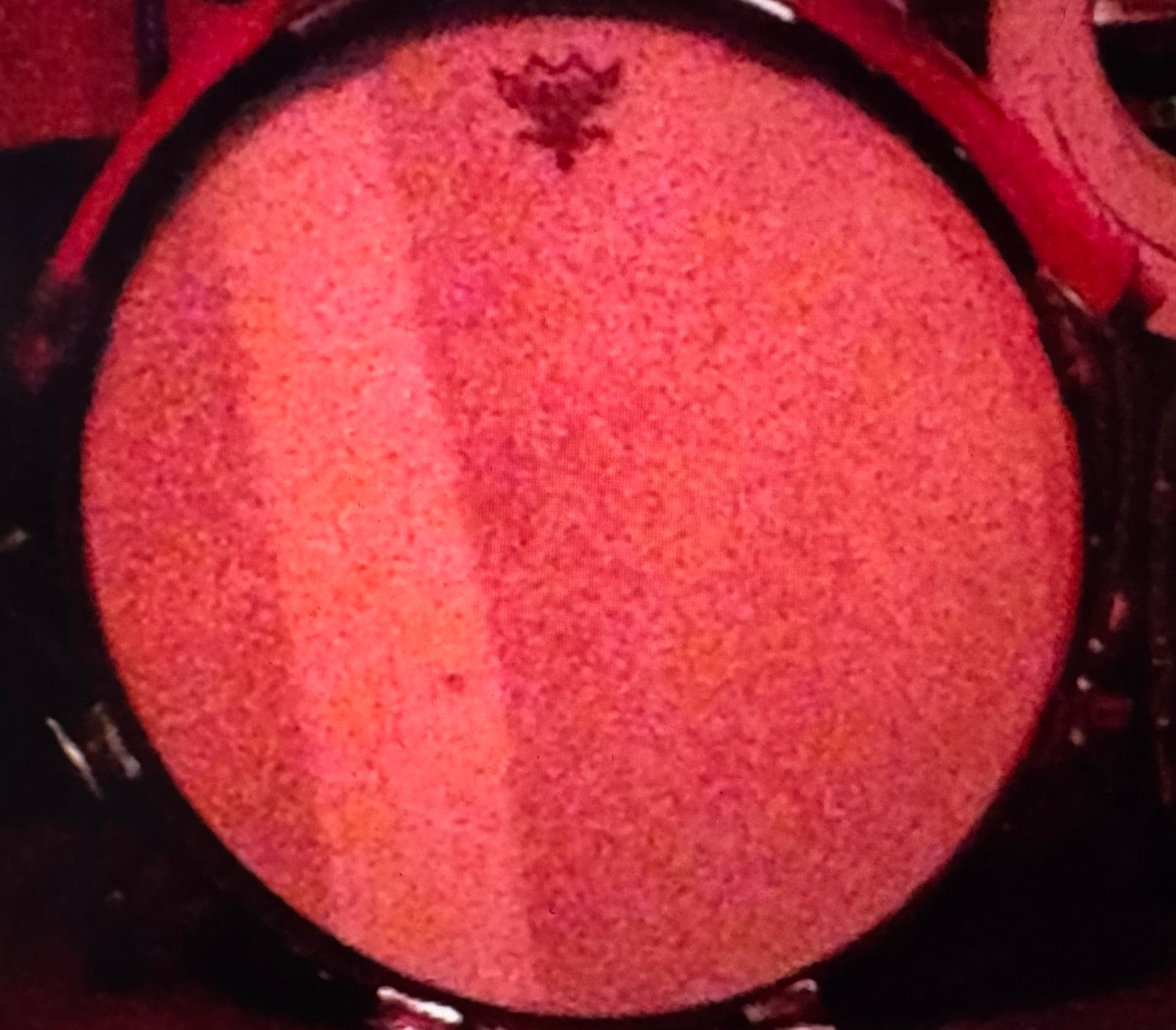 Drum that kind of looks like Phil Collins' head on that album cover.