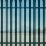 In the Room With: Pink Floyd