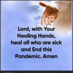 Meme Ended Pandemic!