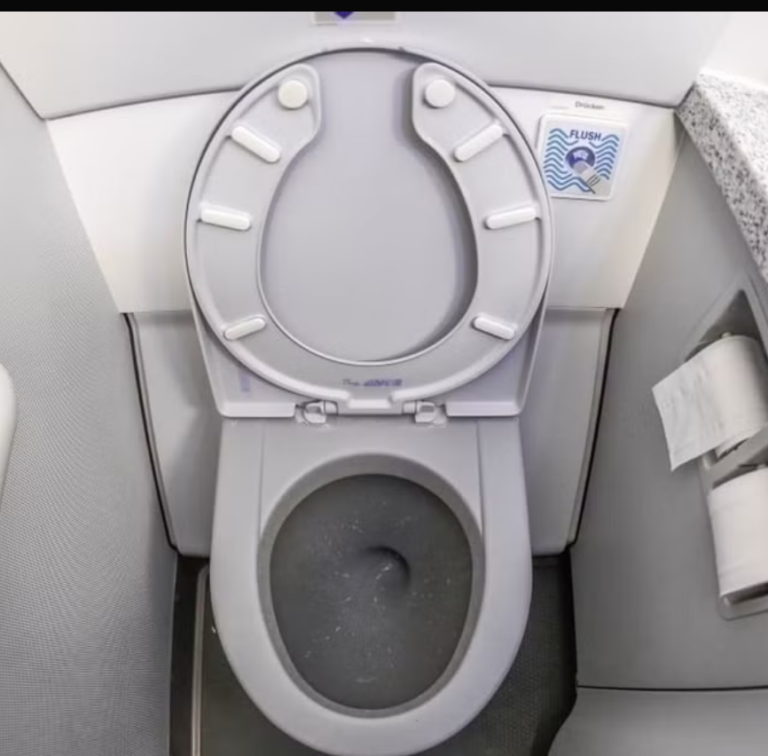 Man Amazed at Front-Facing Plane Toilet